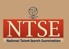 National Talent Search Examination (NTSE – India)