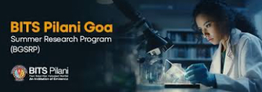 BITS Pilani Summer Internship/Research Program